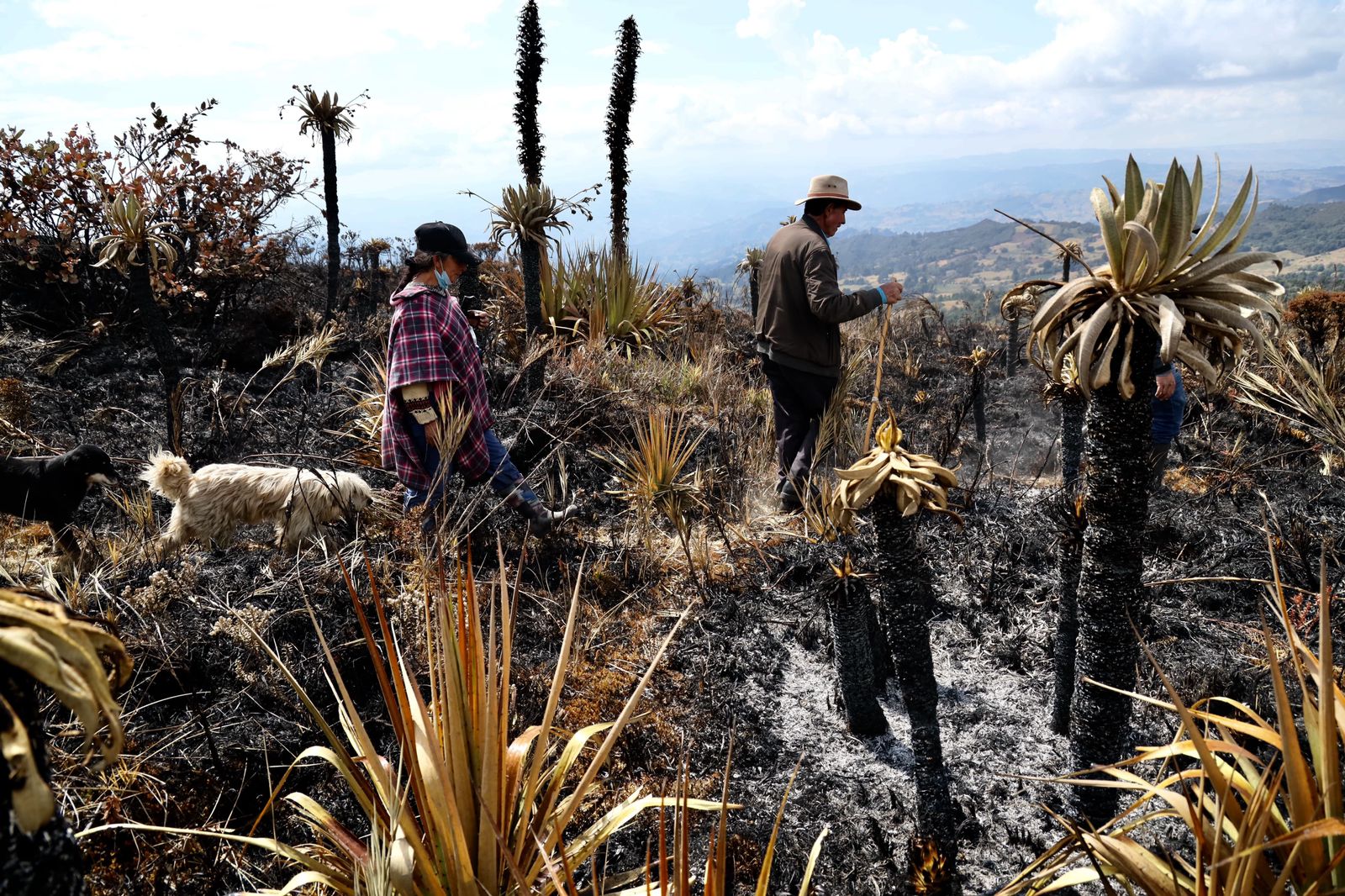 Boyac&aacute; en alerta por el Fen&oacute;meno de El Ni&ntilde;o